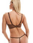 Ivory Rose Vienna satin tanga thong in chocolate brown