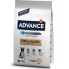 ფოტო #2 პროდუქტის AFFINITY Advance Canine Adult French Bulldog 7.5kg Dog Food