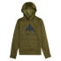 Фото #1 товара BURTON OAK Pullover hoodie