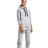 Фото #1 товара Under Armor Rival Fleece Metallic Hoodie W 1356 323 035