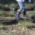 Фото #4 товара Детские водные ботинки Jurassic Park Синие