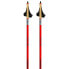 ROSSIGNOL Force 9 Poles