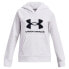 Фото #1 товара UNDER ARMOUR Rival Fleece BL hoodie