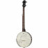 Фото #1 товара Gold Tone CC-OTA Clahammer Banjo Set