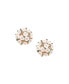 Women's Roses Stud Earrings