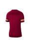 Фото #5 товара Cw6101 Dri Fit Academy T-shirt Bordo