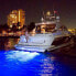 Фото #3 товара Светодиодный светильник аварийный Lumitec SeaBlaze X2 бело-синий