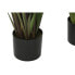 Фото #2 товара Декоративное растение Home ESPRIT PVC полиэтилен 35 x 35 x 120 cm (2 штук)