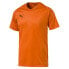 ფოტო #1 პროდუქტის PUMA Liga Core short sleeve T-shirt