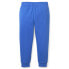 Puma Fruitmates Sweatpants Tr Cl Boys Blue Casual Athletic Bottoms 847317-67