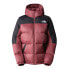 The North Face Diablo Down Hoodie