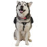 Фото #5 товара ULTIMATE DIRECTION 5.8L Dog Saddlebag