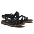 TIMBERLAND Chicago Riverside Multi Straps sandals