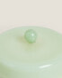 (320 g) figue verdant scented candle