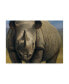 Фото #1 товара Dan Craig Rhinos Portrait Canvas Art - 19.5" x 26"