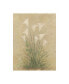 Фото #1 товара Debra Lake White Lilies on Parchment Canvas Art - 15.5" x 21"