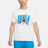 Air Jordan LogoT CJ6307-100 T-Shirt