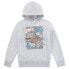 Фото #1 товара LEVI´S ® KIDS Illusion Logo Teen Hoodie