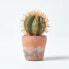 Фото #6 товара Klein Künstlicher Kaktus mit orange