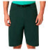 OAKLEY APPAREL Drop In MTB shorts