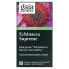 Фото #1 товара Gaia Herbs, Echinacea Supreme, 60 вегетарианских фито-капсул с жидкостью