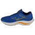 Кроссовки Mizuno Wave Inspire 19 M