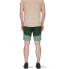 Фото #2 товара MAMMUT Zinal Hybrid Shorts