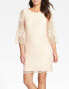 Фото #1 товара Erin Erin Fetherston Maybelle Rose Lace Shift Cocktail Mini Dress Size 10