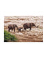 Фото #1 товара Izonevision Robert D Abramson Elephant Family Tanzania Canvas Art - 15" x 20"