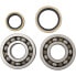 HOTRODS Suzuki 1996-2002 RM250 Crank Shaft Bearing&Seal Kit