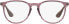 Ray-Ban Women's Rx7046 Erika Round Prescription Eyewear Frames