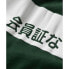 Фото #6 товара Футболка мужская Superdry Osaka 6 с коротким рукавом и принтом - эмаль зеленый
