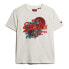 Фото #2 товара SUPERDRY Tokyo Vl Graphic Relaxed short sleeve T-shirt