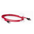 Фото #1 товара HPE IP CAT5 Cable/12ft Qty 8 WW - Cable - KVM