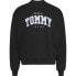 Фото #3 товара TOMMY JEANS Boxy Varsity Ext sweatshirt