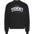 TOMMY JEANS Boxy Varsity Ext sweatshirt