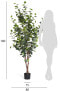 Фото #16 товара Kunstpflanze Eukalyptus 180 cm