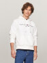 Фото #1 товара Embroidered Tommy Logo Hoodie