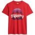 Фото #2 товара SUPERDRY Great Outdoors Graphic short sleeve T-shirt