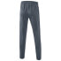 Фото #3 товара ERIMA Performance Tracksuit Pants