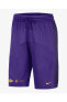 Фото #3 товара Los Angeles Lakers Starting 5 Courtside Dri-FIT NBA Graphic Erkek Basketbol Şort