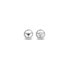 Ladies' Earrings Ti Sento 7841SI