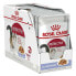 Фото #1 товара ROYAL CANIN Instincitve Jelly 85g Wet Cat Food