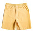 QUIKSILVER Taxer Amphibian 18 shorts