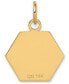 Medical Info Hexagon Charm Pendant in 14k Gold
