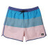 Фото #3 товара QUIKSILVER Every Tj 16´´ Swimming Shorts