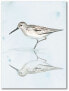 Фото #1 товара Sandpiper Reflections II Gallery-Wrapped Canvas Wall Art - 18" x 24"