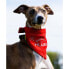 Фото #7 товара HUUB Pet Bandana Scarf