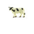 SAFARI LTD Holstein Cows Good Luck Minis Figure