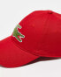 Фото #2 товара Lacoste cap in red